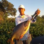 pescador pacu j.anhumas