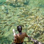 Bonito Ecotourism rio do peixe vista dos peixes