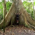 Iguazu Falls & Triple Frontier Experience arvore