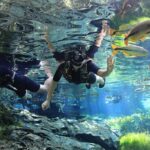 Bonito Ecotourism mergulho