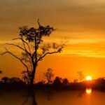 pordosol