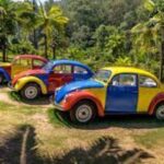 Minas Gerais Historical & Cultural Experience carros