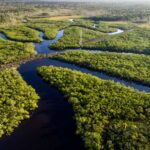 Amazon Jungle & Nature Experience precisa de motivos para conhecer o amazonas
